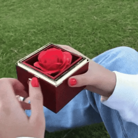 Un regalo che non dimenticherà mai - Rose Eternal Box